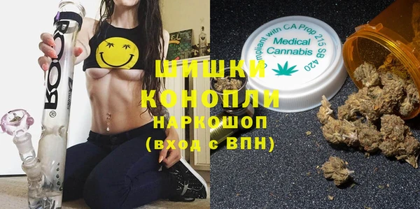 PSILOCYBIN Кодинск