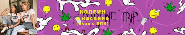 амф Козловка