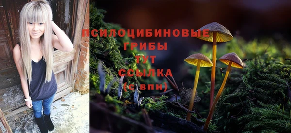 амф Козловка
