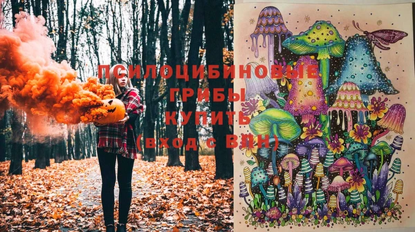 PSILOCYBIN Кодинск
