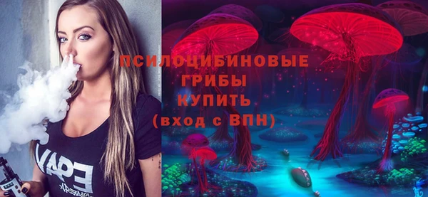 амф Корсаков