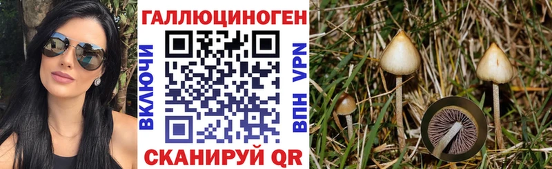 Купить закладки  Бокситогорск  Псилоцибиновые грибы Psilocybe 
